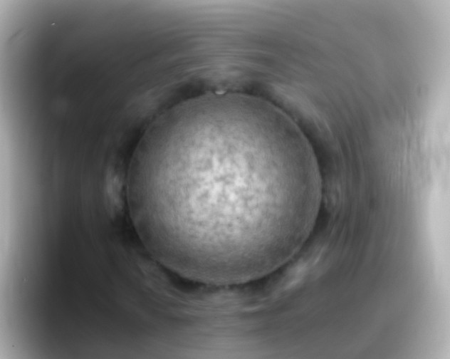 X0000096691010200802121228