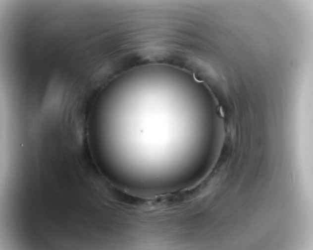 X0000096691012200802121228