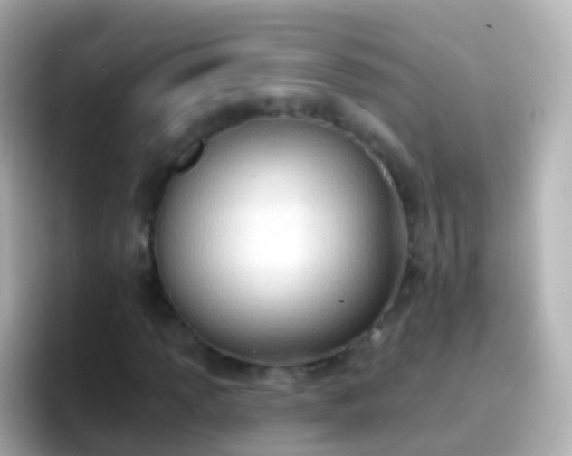 X0000096691013200802121228