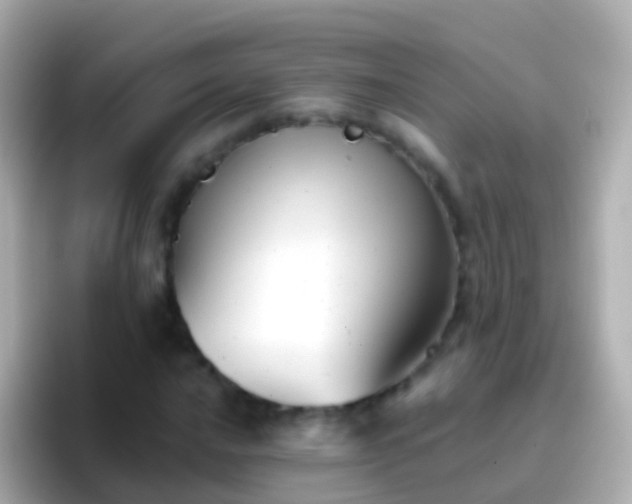 X0000096691016200802121228