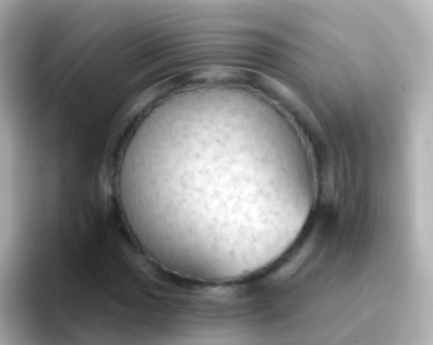 X0000096691017200802121228