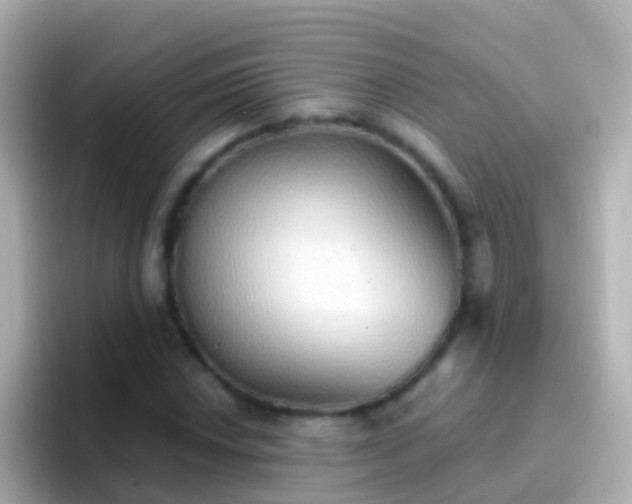 X0000096691018200802121228