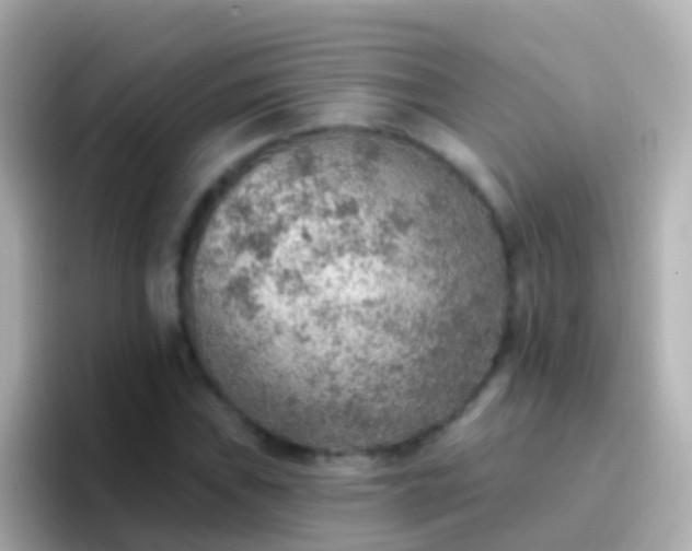 X0000096691019200802121228