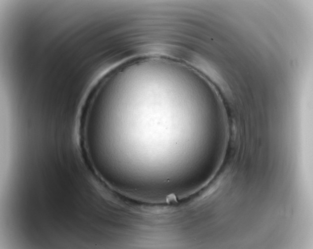 X0000096691020200802121228