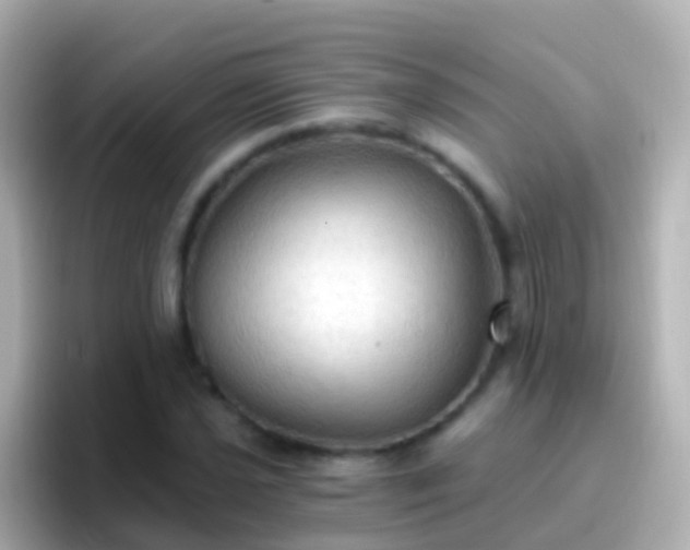 X0000096691021200802121228