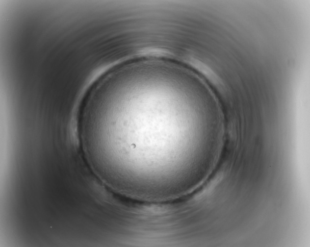 X0000096691022200802121228