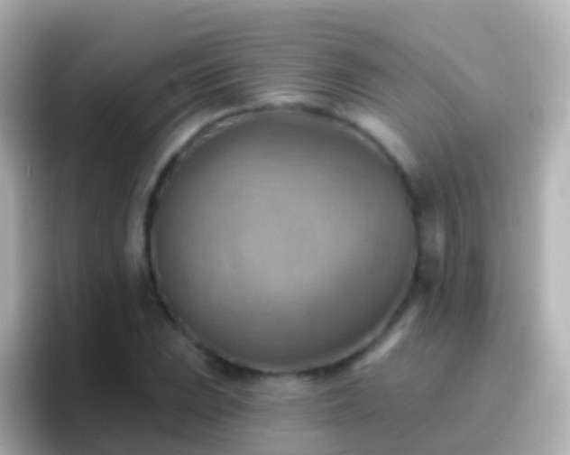 X0000096691023200802121228