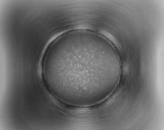 X0000096691024200802121228