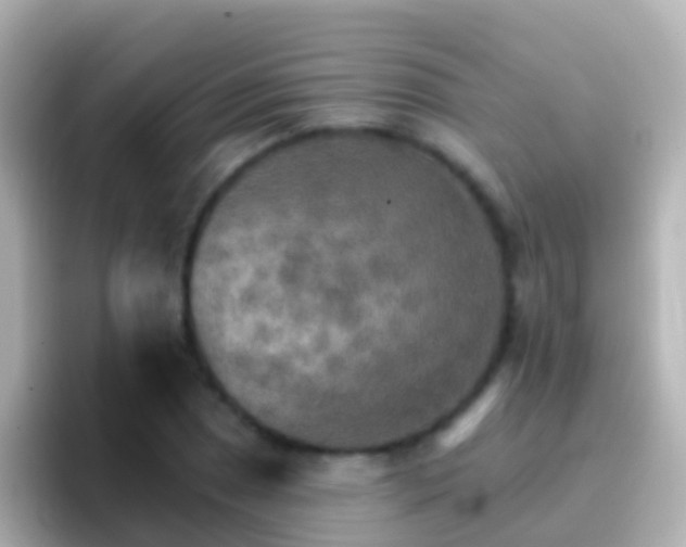 X0000096691025200802121228