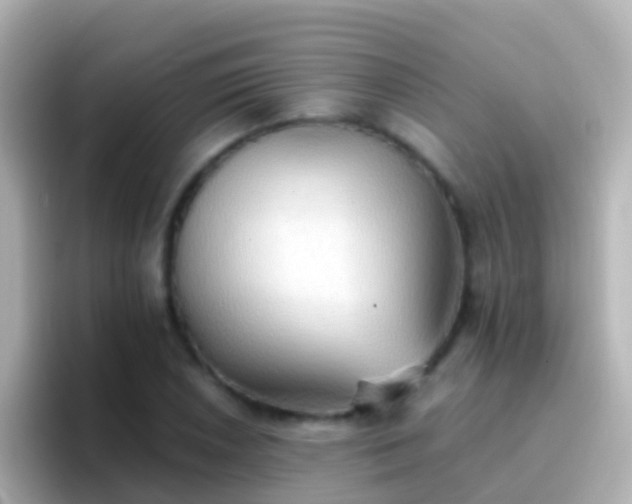 X0000096691026200802121228