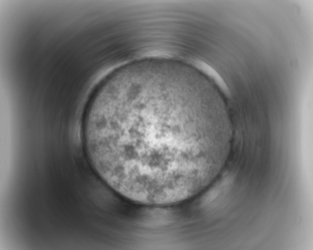 X0000096691027200802121228