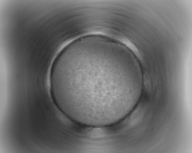 X0000096691028200802121228