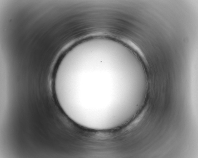 X0000096691029200802121228