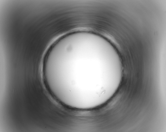 X0000096691030200802121228