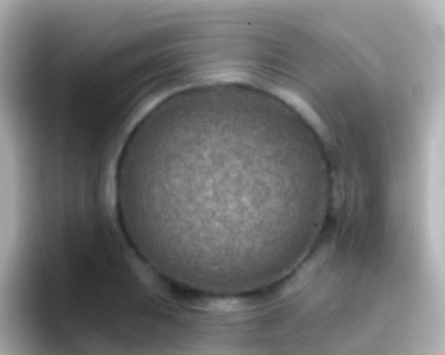 X0000096691031200802121228