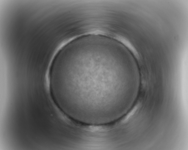 X0000096691032200802121228