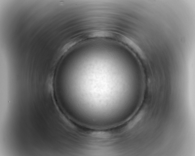 X0000096691033200802121228