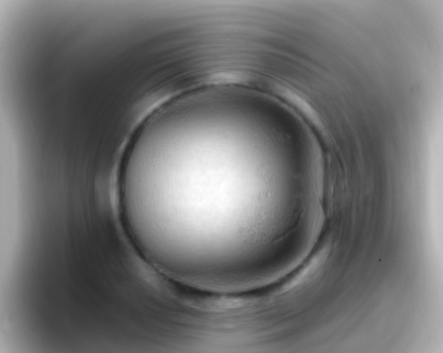 X0000096691034200802121228