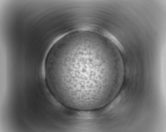 X0000096691036200802121228