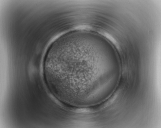 X0000096691037200802121228