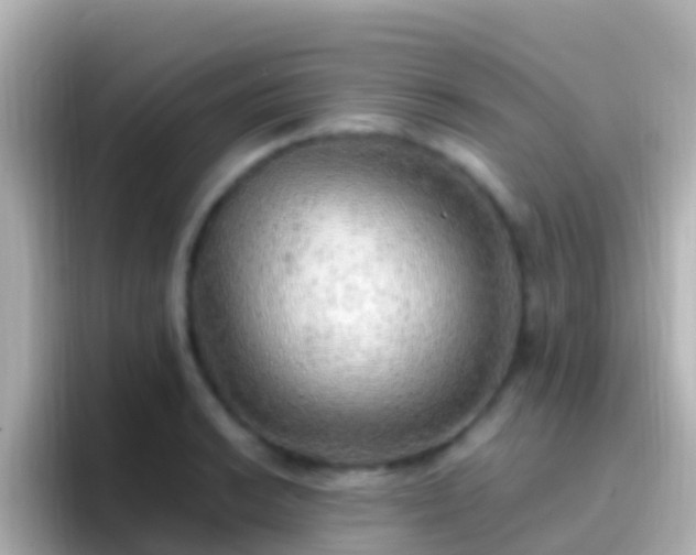 X0000096691038200802121228