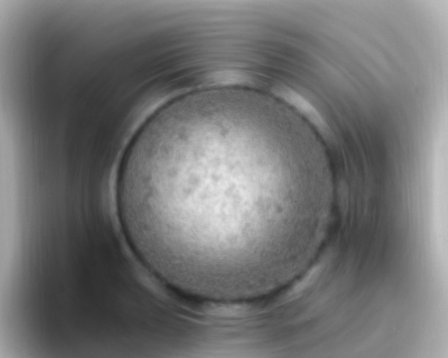 X0000096691039200802121228