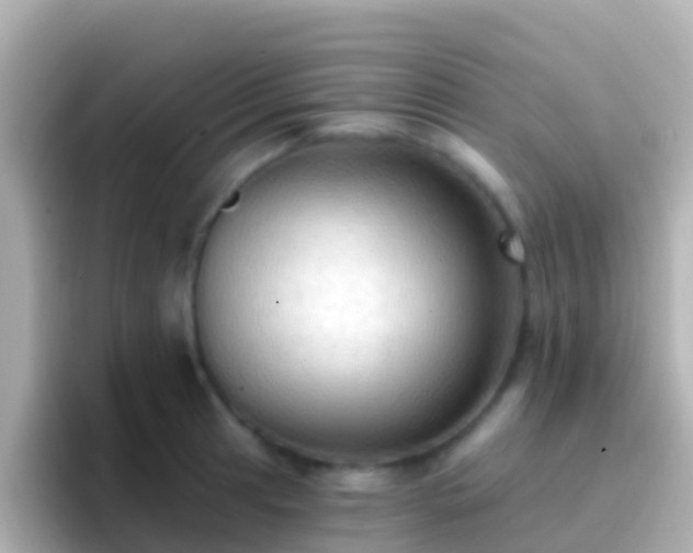 X0000096691041200802121228