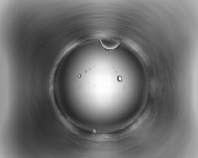 X0000096691042200802121228