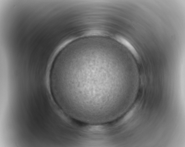 X0000096691043200802121228