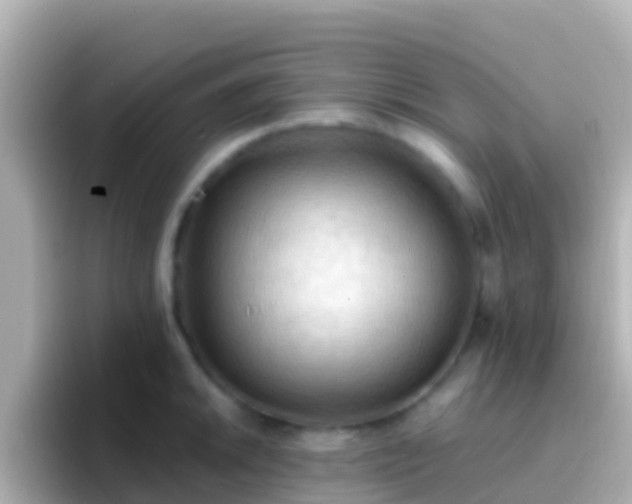 X0000096691046200802121228