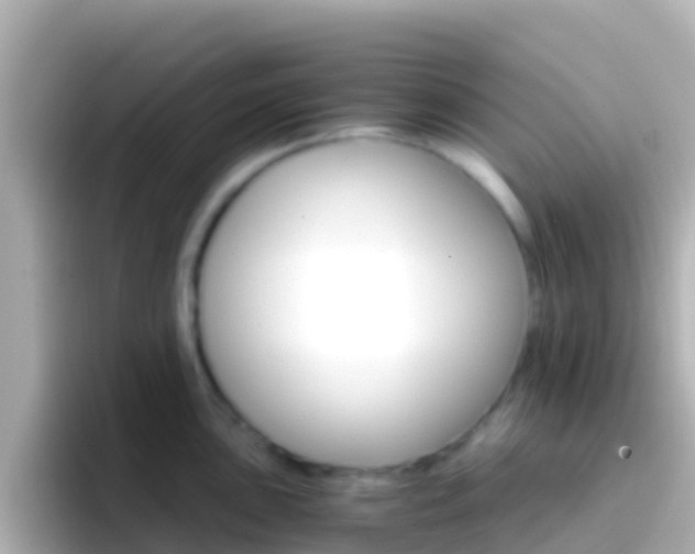 X0000096691051200802121228