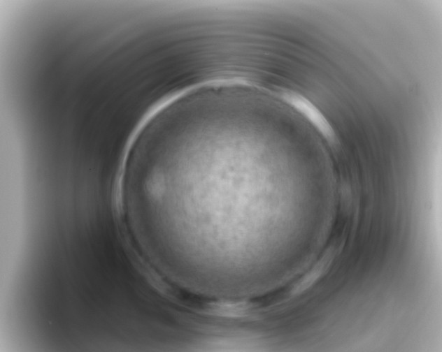 X0000096691052200802121228