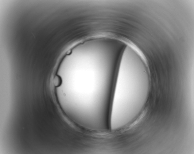 X0000096691053200802121228