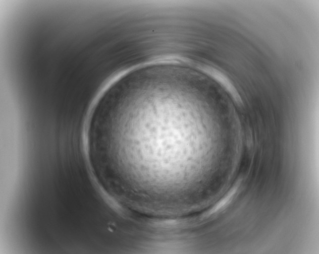 X0000096691054200802121228