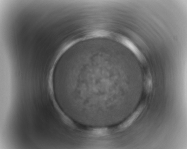 X0000096691055200802121228