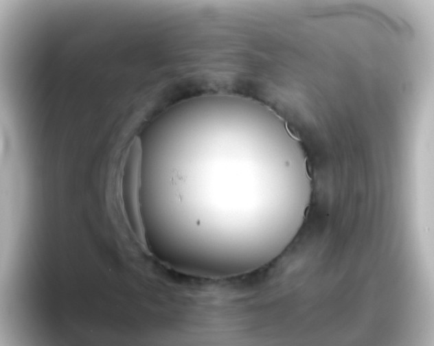 X0000096691057200802121228