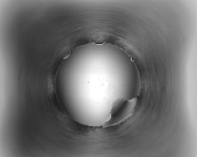 X0000096691058200802121228