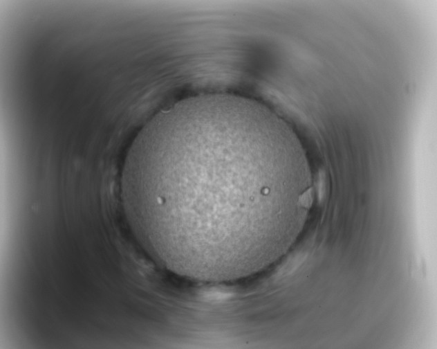 X0000096691059200802121228