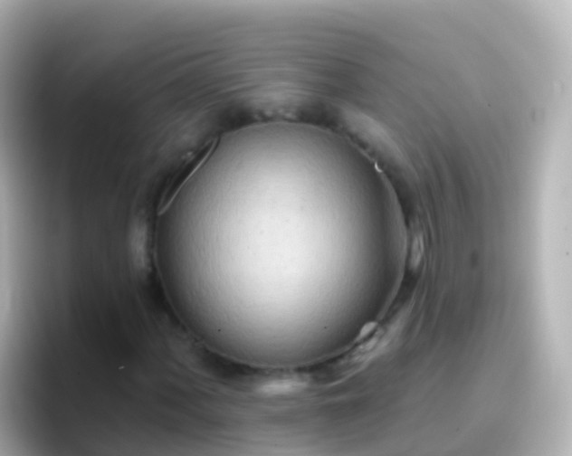 X0000096691060200802121228