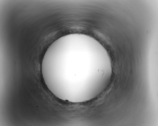 X0000096691061200802121227