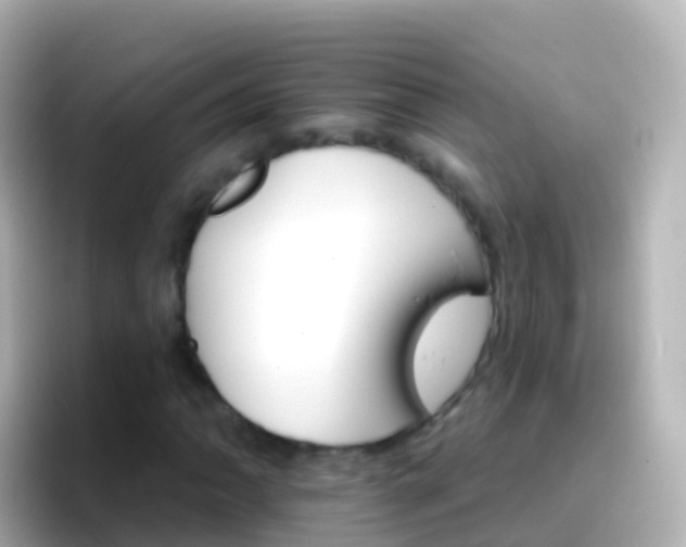 X0000096691062200802121227