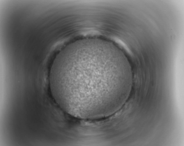 X0000096691063200802121227