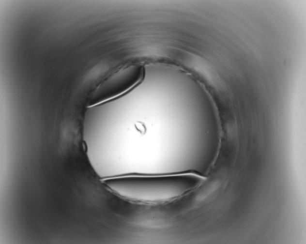 X0000096691064200802121227