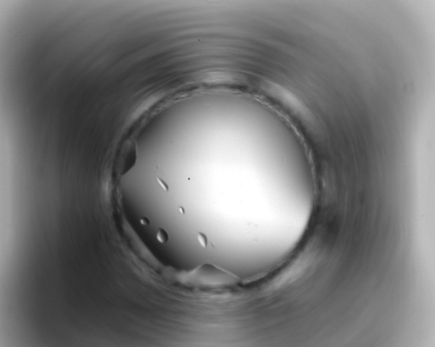 X0000096691065200802121227