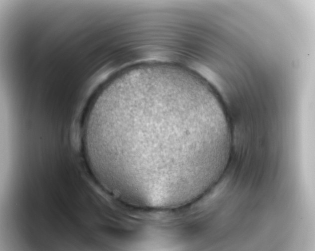 X0000096691067200802121227