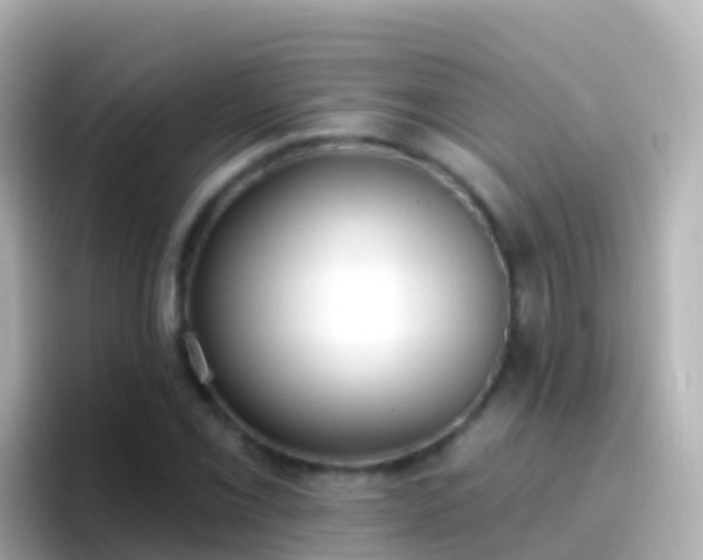 X0000096691069200802121227