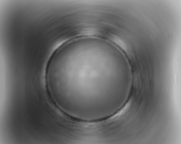 X0000096691071200802121227