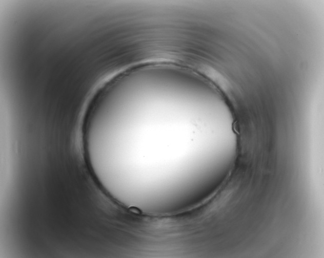 X0000096691072200802121227