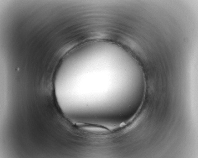 X0000096691073200802121227