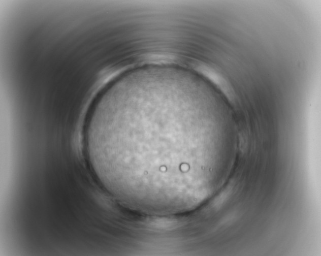 X0000096691074200802121227